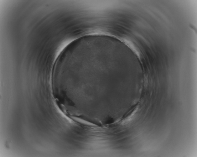 X0000097780863200803141806