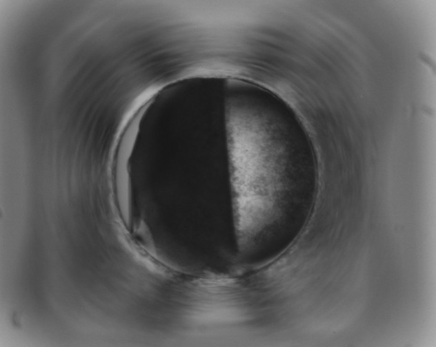 X0000097780864200803141806