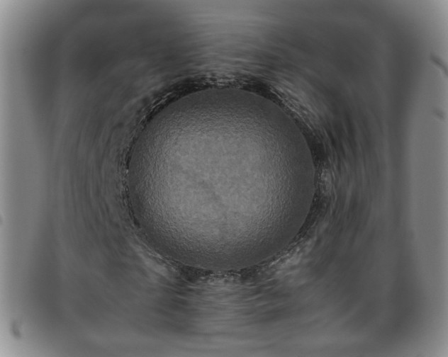 X0000097780865200803141805