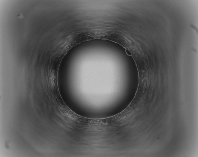 X0000097780866200803141805