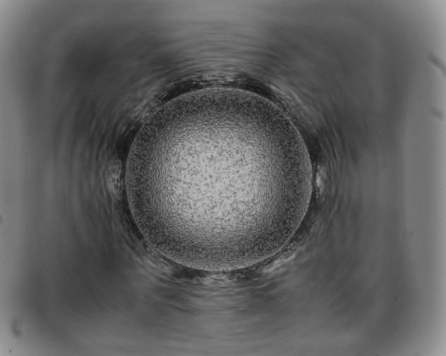 X0000097780867200803141805