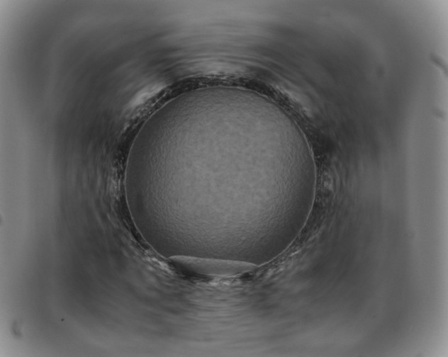X0000097780869200803141805