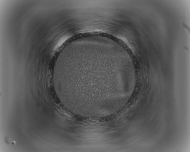 X0000097780871200803141805