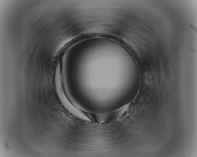 X0000097780872200803141805