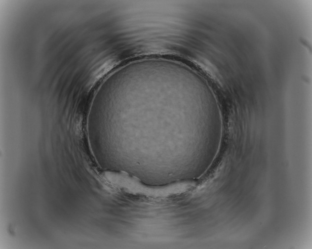X0000097780873200803141805