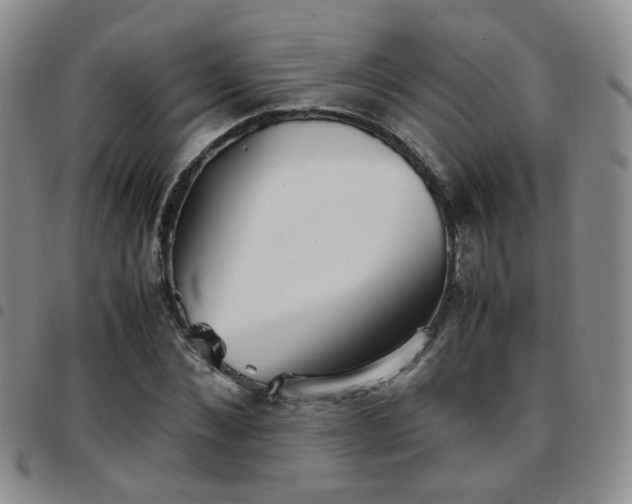 X0000097780876200803141805