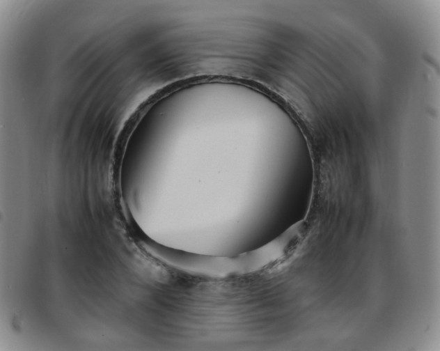 X0000097780880200803141805
