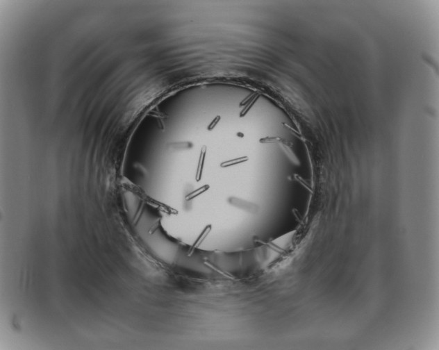 X0000097780881200803141805
