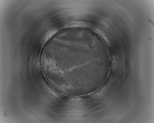 X0000097780882200803141805