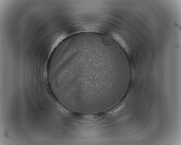 X0000097780883200803141805