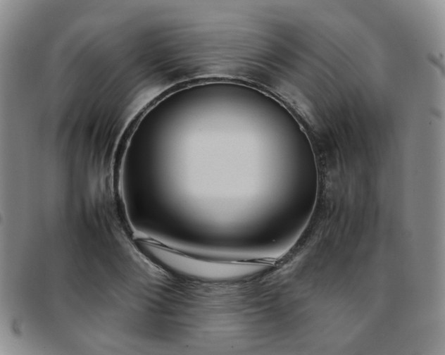 X0000097780884200803141805
