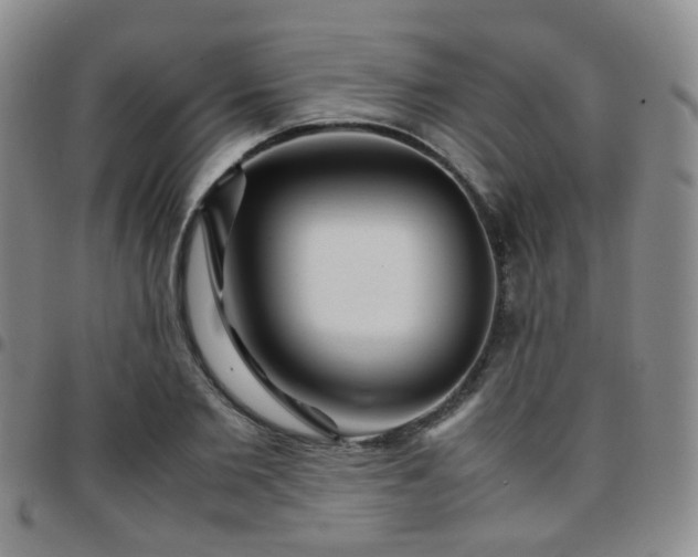 X0000097780885200803141805