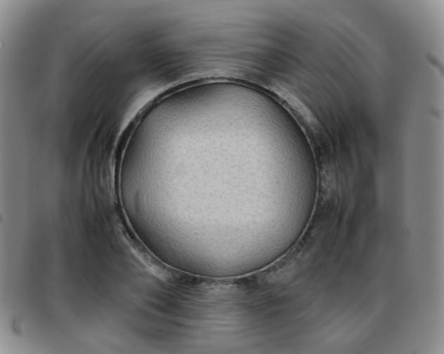 X0000097780886200803141805