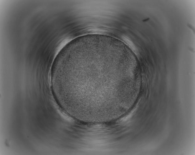 X0000097780891200803141805