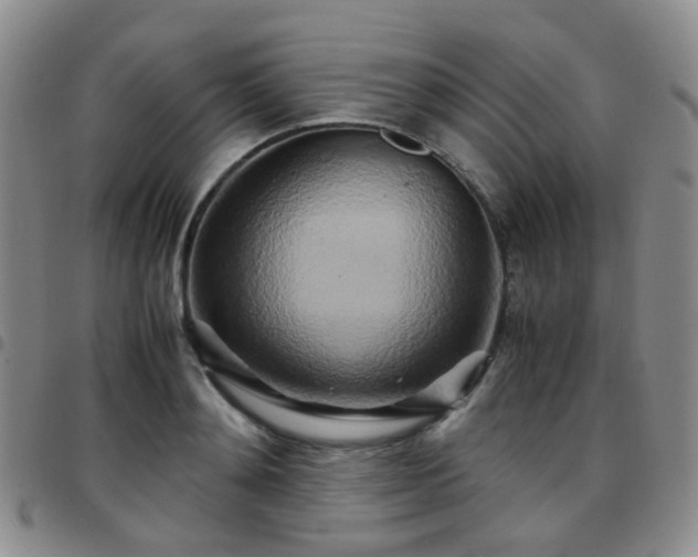 X0000097780892200803141805