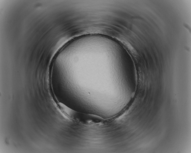 X0000097780894200803141805