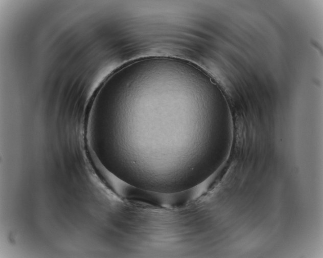 X0000097780896200803141805
