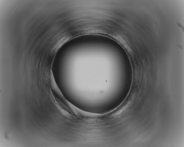 X0000097780897200803141805