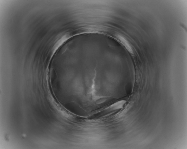 X0000097780899200803141805