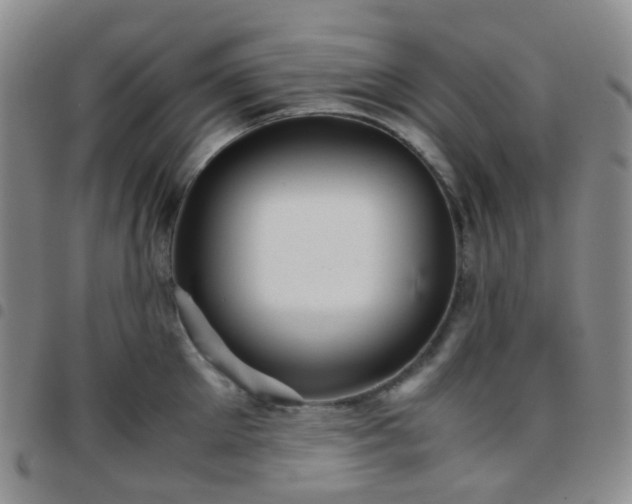 X0000097780905200803141805