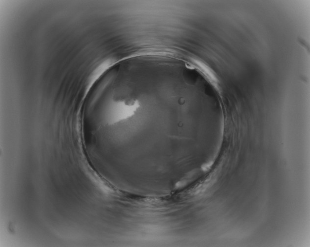 X0000097780907200803141805