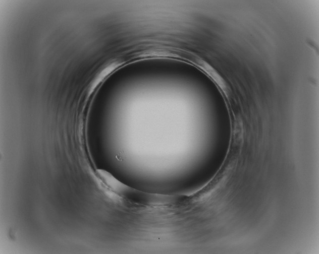 X0000097780909200803141805