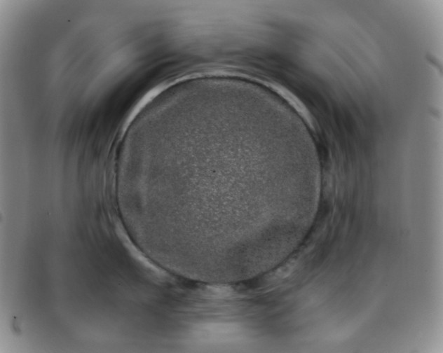 X0000097780911200803141805