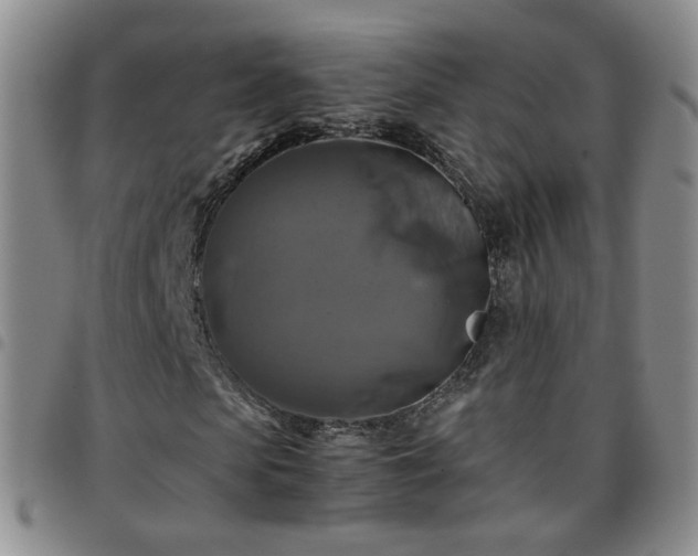 X0000097780913200803141804