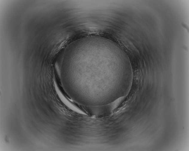 X0000097780916200803141804
