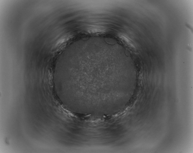 X0000097780917200803141804