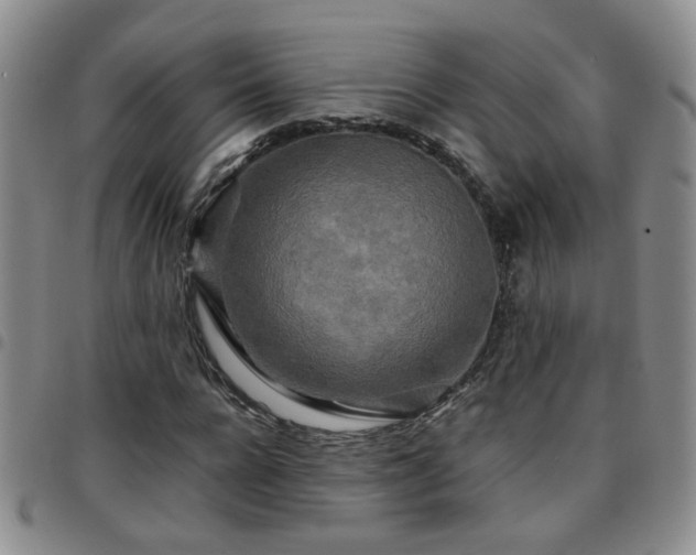 X0000097780920200803141804