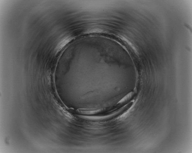 X0000097780921200803141804