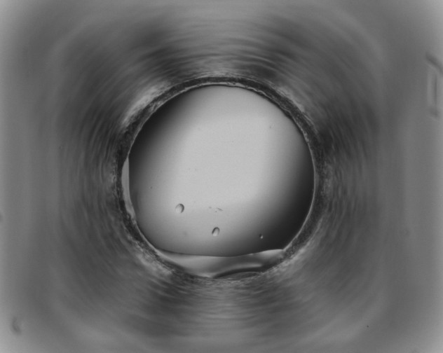 X0000097780922200803141804