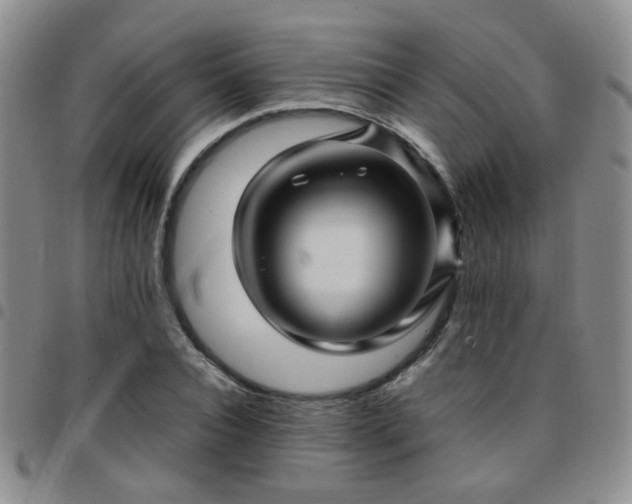 X0000097780928200803141804