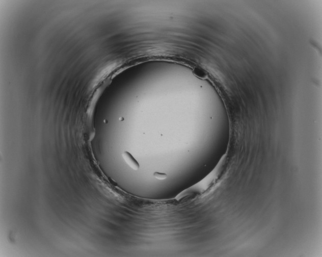 X0000097780930200803141804