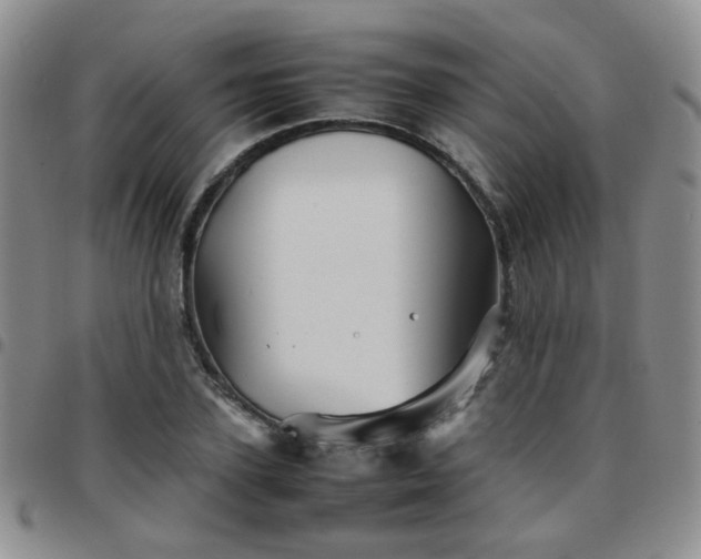X0000097780931200803141804
