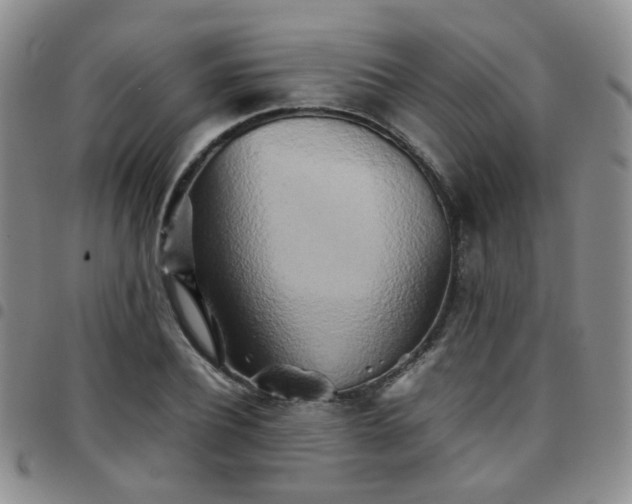 X0000097780932200803141804