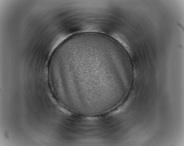 X0000097780933200803141804