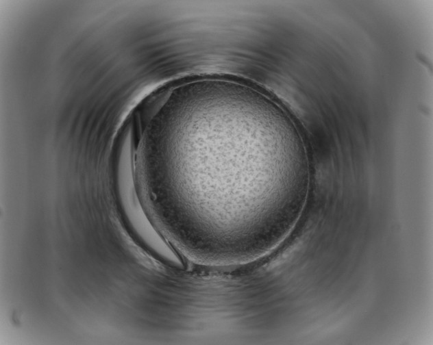 X0000097780934200803141804