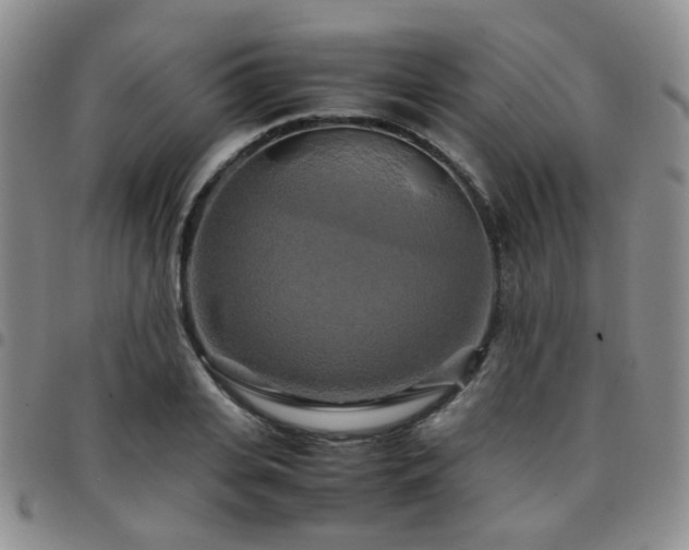 X0000097780935200803141804