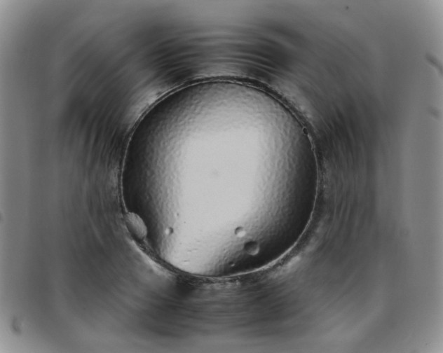 X0000097780937200803141804