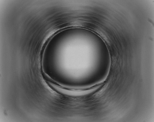 X0000097780939200803141804