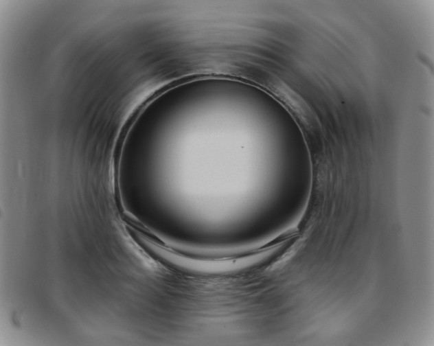 X0000097780940200803141804
