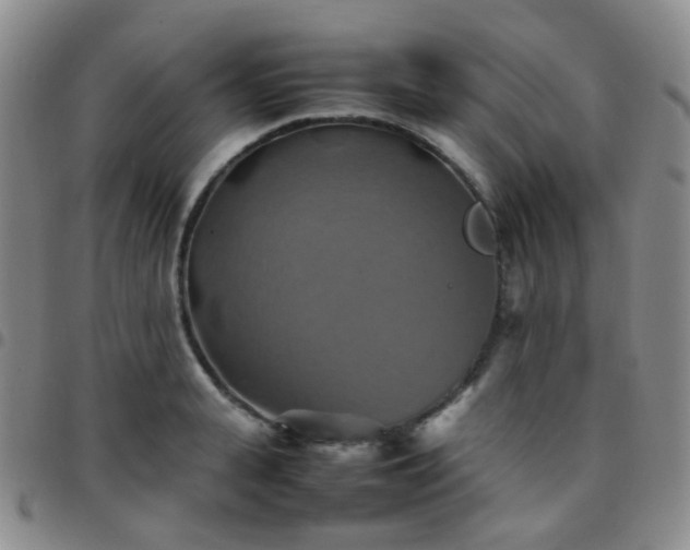 X0000097780943200803141804