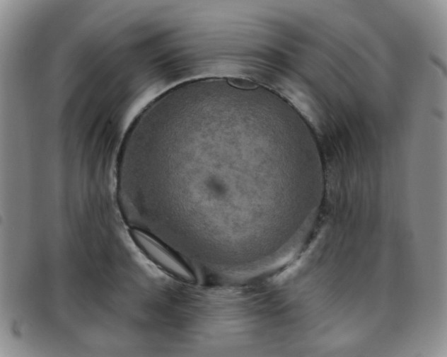 X0000097780944200803141804