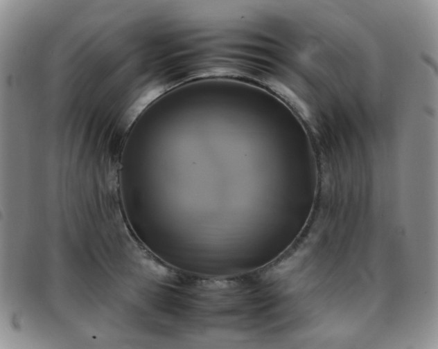 X0000097780945200803141804