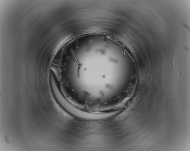 X0000097780946200803141804