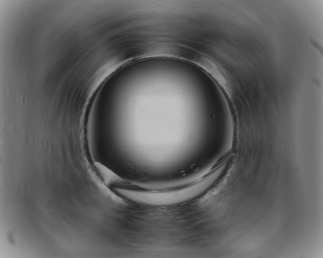 X0000097780949200803141805