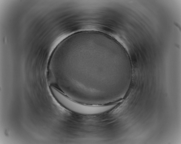 X0000097780951200803141805