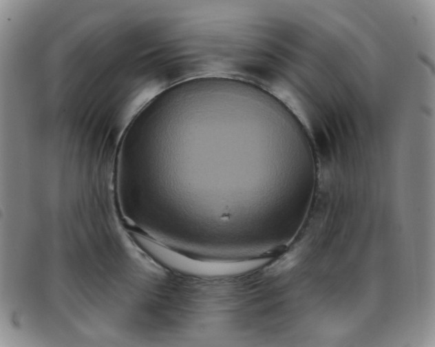 X0000097780954200803141805